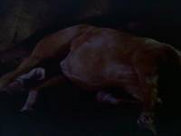 Кадр Серебряный ветер