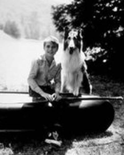 Джон Провост фото