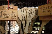 Кадр Первый снег