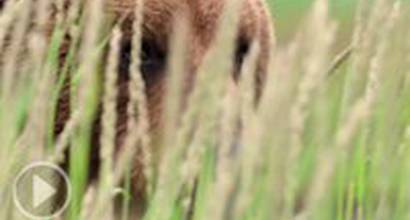 Ролик о фильме 