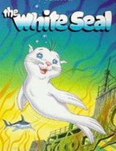 Белый котик