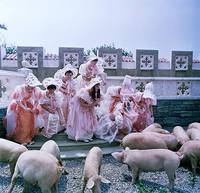 Кадр Принцесса на горошине