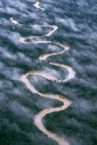 Кадр Амазония: Инструкция по выживанию 3D