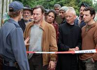 Кадр Колоски