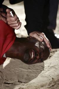 Кадр Новый день