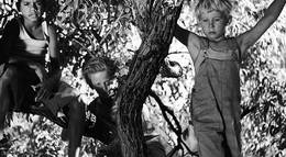 Кадр из фильма "Рождество в буше" - 1