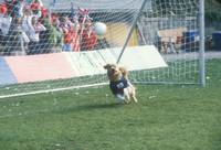 Кадр Король воздуха: Лига чемпионов (видео)