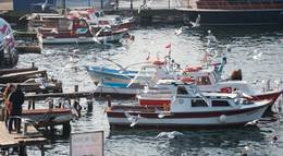 Кадр из фильма "Evlenmeden Olmaz" - 1