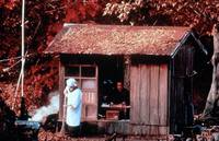 Кадр Еще нет