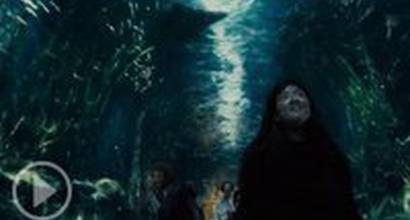 Международный трейлер