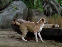 Кадр Доктор Циклопус