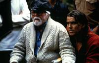 Кадр Серая сова