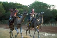 Кадр Кенгуру Джекпот