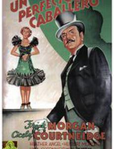 The Perfect Gentleman