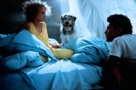 Кадр Отныне и навсегда