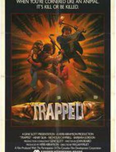 Попавшиеся