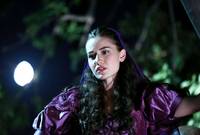 Кадр Королёк – птичка певчая