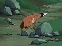 Кадр Хэйди – девочка Альп