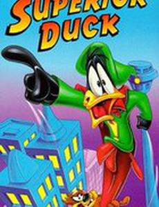 Superior Duck