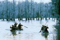 Кадр Южное гостеприимство