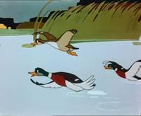 Кадр Лягушка-путешественница