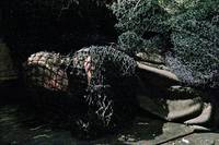 Кадр Волшебник Земноморья (мини-сериал)