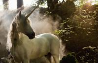 Кадр Мерлин