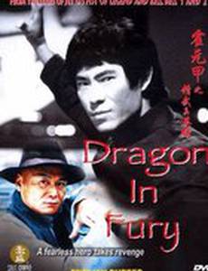 Дракон в ярости