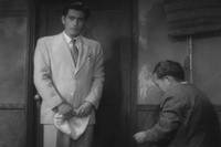 Кадр Бездомный пес