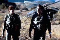 Кадр Огненные птицы