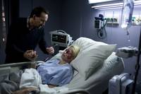 Кадр Голодный кролик атакует