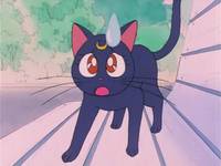 Кадр Красавица-воин Сейлор Мун Эс