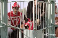 Кадр Фаворит