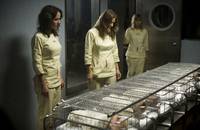 Кадр Клиника