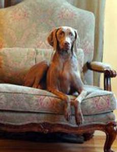 When Hearts Run Wild