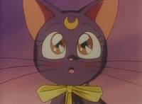 Кадр Красавица-воин Сейлор Мун Эс