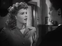 Кадр Собачья жизнь