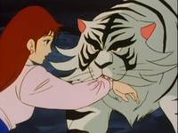 Кадр Чудотворные рыцари