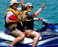 Кадр Веселые и загорелые