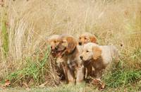 Кадр Принцы воздуха (видео)