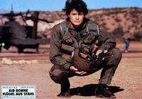 Кадр Огненные птицы