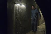 Кадр Колония Дигнидад