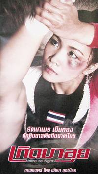 Постер Рожденный сражаться