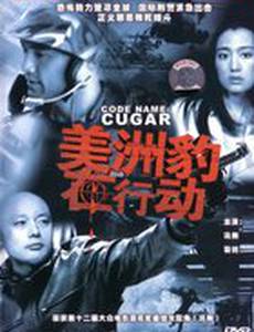 Операция «Пума»