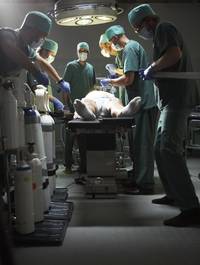 Кадр Звуки шума