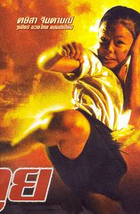 Постер Рожденный сражаться