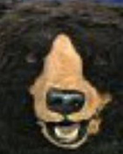 Майкл Гордон фото