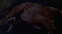 Кадр из фильма "Серебряный ветер" - 2