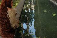 Кадр Любовь и другие демоны