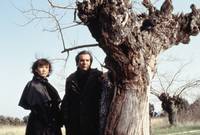 Кадр Любовь до смерти